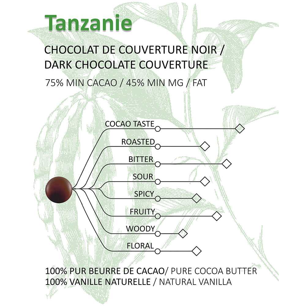 Dark chocolate flavor profile chart with cocoa bean and text on a white background