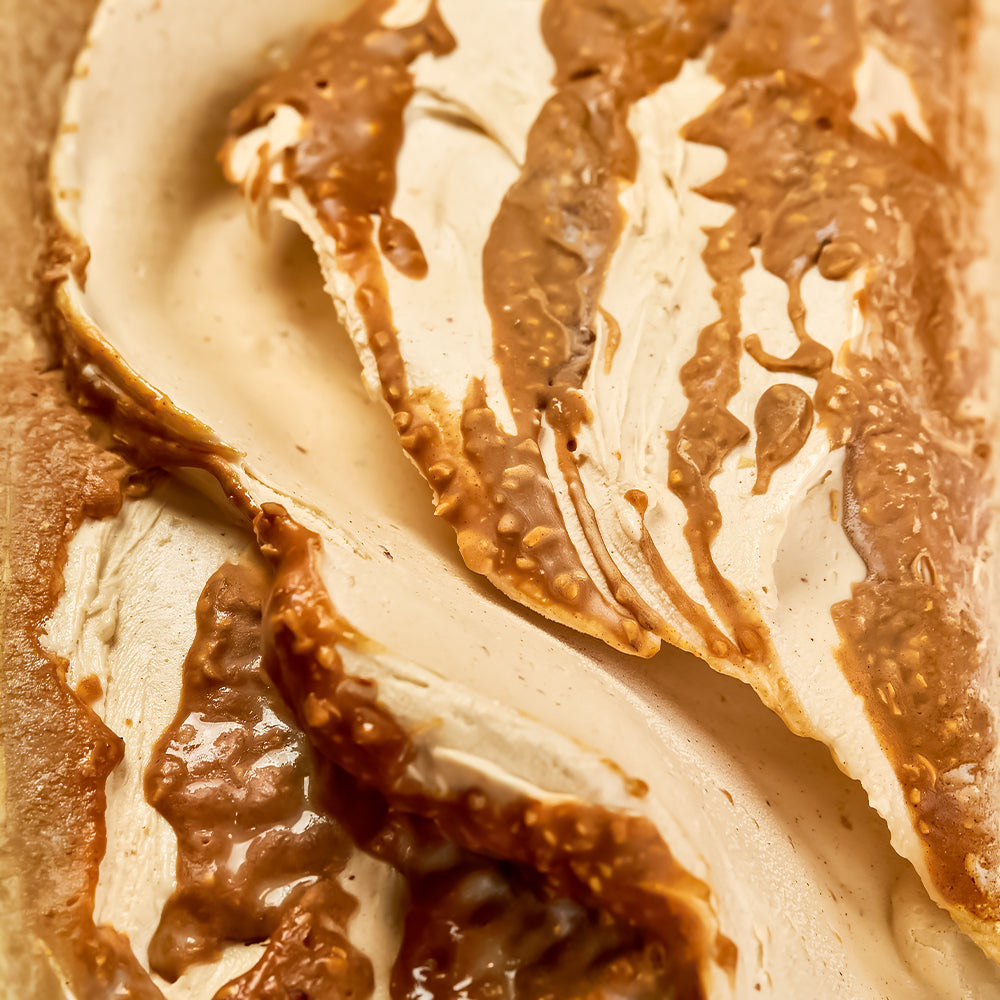 EVS01031_Salted_Caramel_Gelato_Powder_Mix_-_1.2_kg_Base_Caramello_Burro_Salato Salted Caramel Gelato Desserts