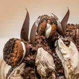 Chocolate, Coconut & Cookie Crunch Variegato for Gelato , Ice Cream Dessert