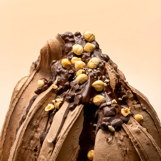 EVS07065_Dark_Gianduja_Hazelnut_Chocolate_Paste_for_Gelato_3kg_Pasta_Gianduja_Bitter Dark Gianduja Hazelnut Chocolate Paste for Gelato