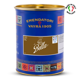 EVS09004 Hazelnut & Cocoa Gourmet Variegato for Gelato & Pastry 6kg | Bella Hazelnut Cocoa Cream for Gelato & Desserts