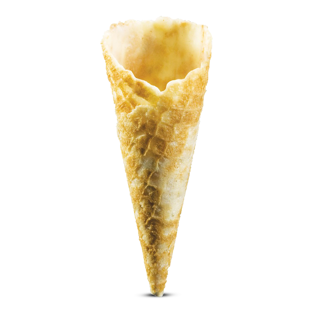 Frozen Elegant Mini Cones Savory