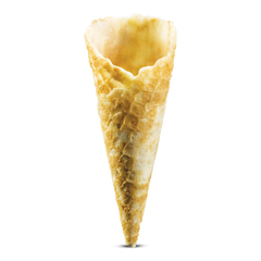 Frozen Elegant Mini Cones Savory