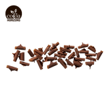 Chocolate pieces arranged in a heart shape with 'Cocoa Horizons' logo above on a white background