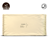 Beige package with 'Cocoa Horizons' branding on a white background