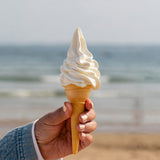 Panna Soft Ice Cream Dessert