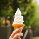 Vanilla Soft Serve Ice Cream Dessert
