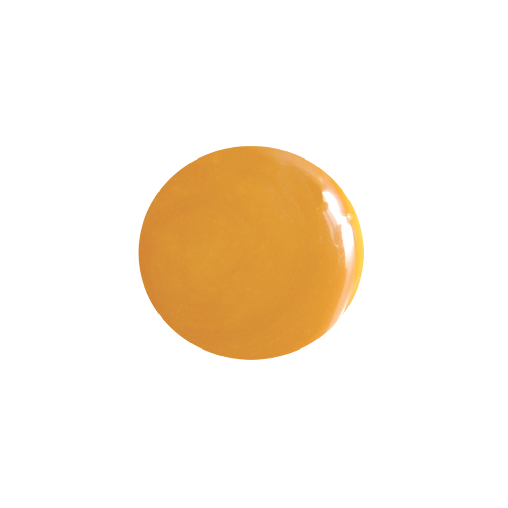 Caram-FWF, 100% pure caramel filling, Callebaut Belgium,