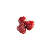 Frozen Raspberry, IQF, Capfruit France, 1 Kg Bag