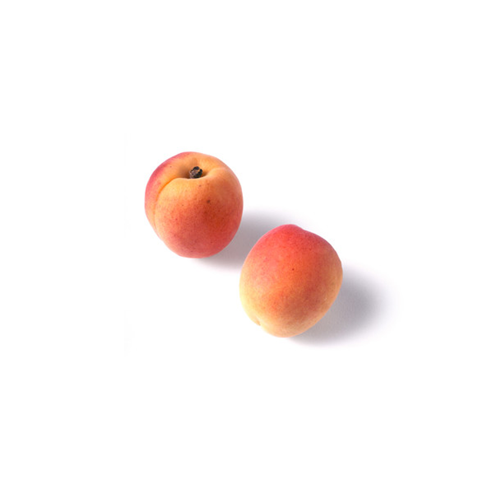 Apricot frozen fruit puree, Capfruit France, 1 Kg Tub