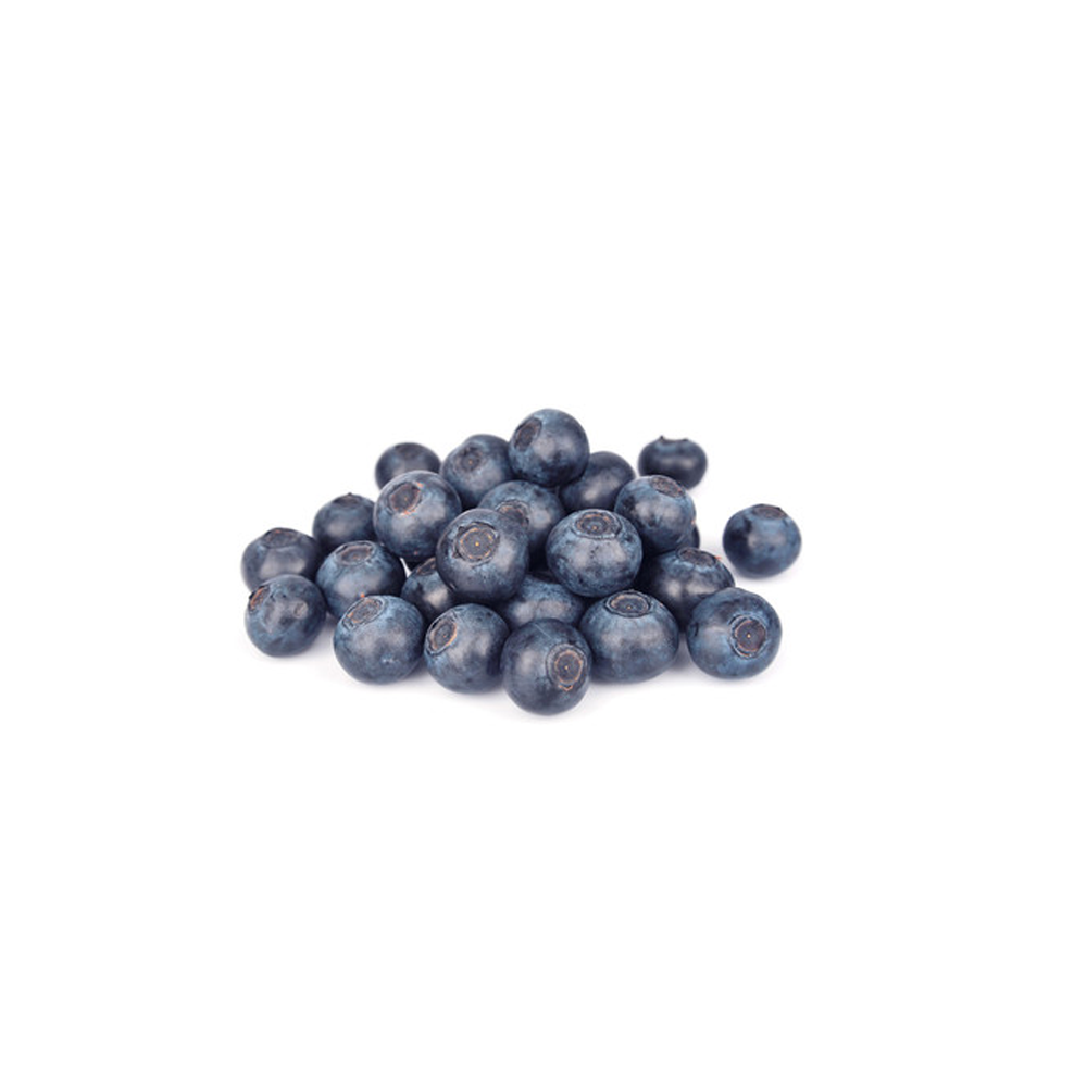 Blueberry Frozen Fruit Puree With 10% Added Sugar - 1kg Tub